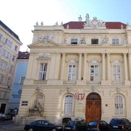 Vienne : Visite à pied des cours et des lieux cachés