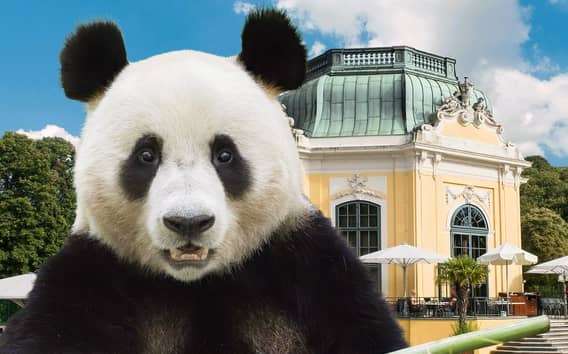 Vienne : billets coupe-file pour le zoo de Schönbrunn